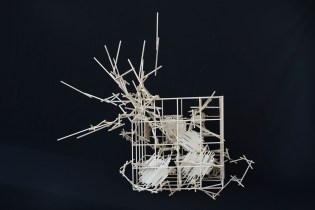 bcu_intro_lopez-dinardi_huanyunwang_s15_03