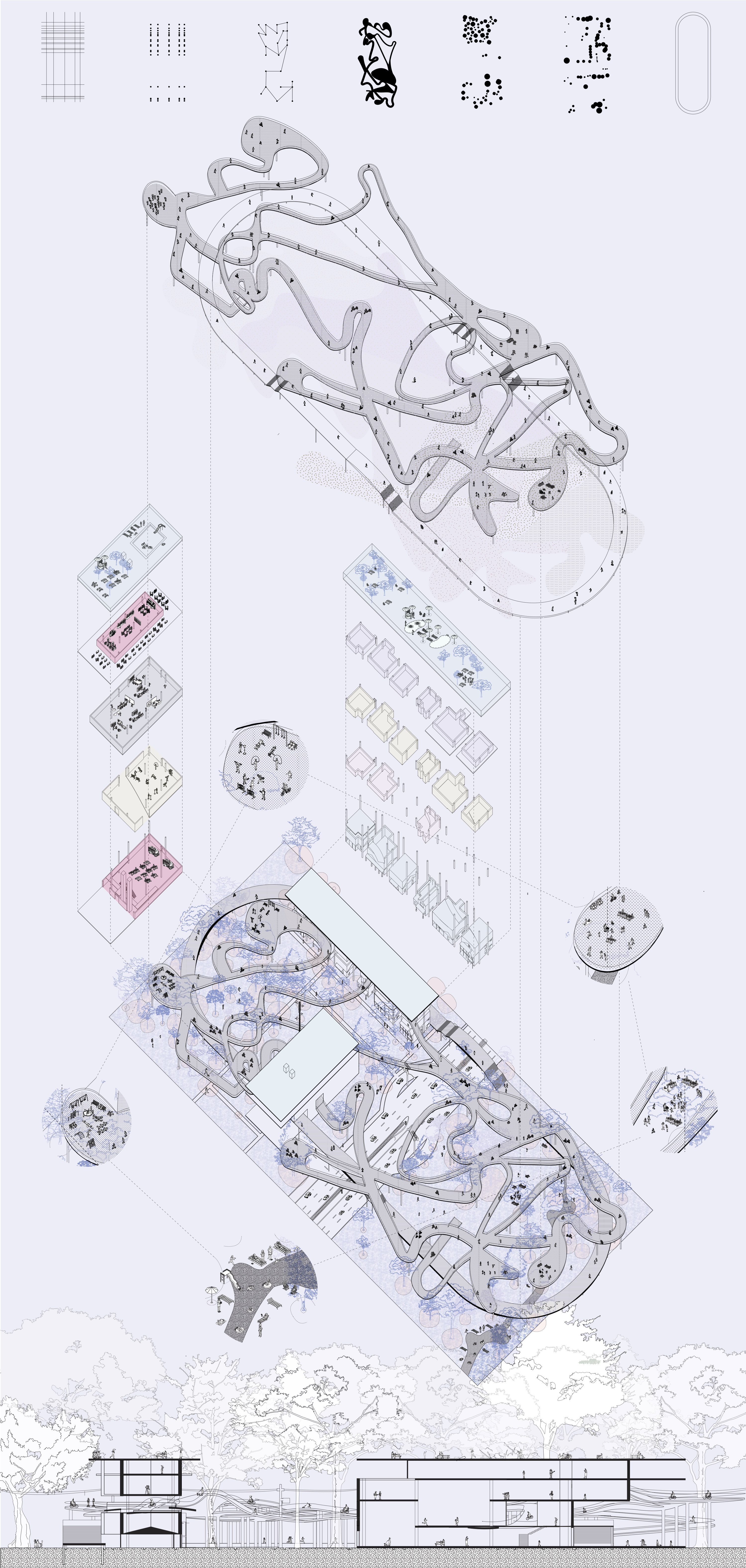 compressed axon updated Keira Sammi