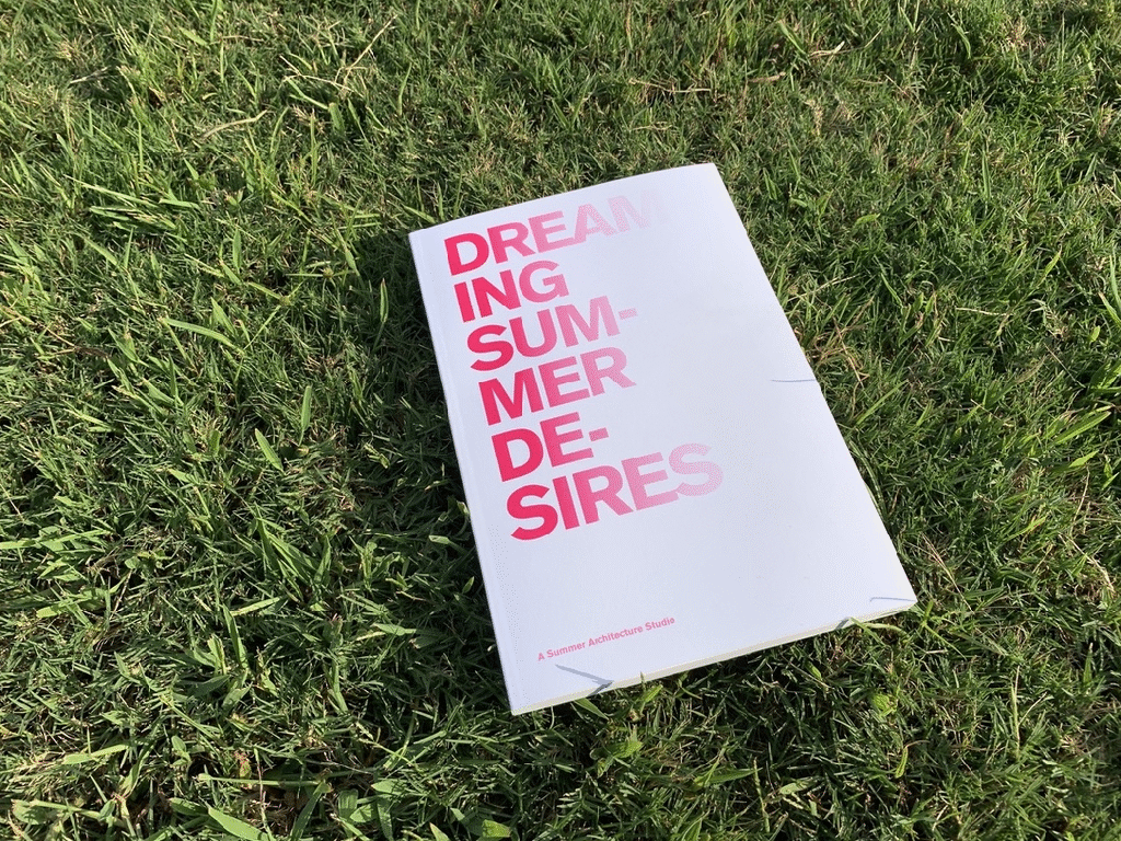 DREAMING SUMMER DESIRES&nbsp;BOOK